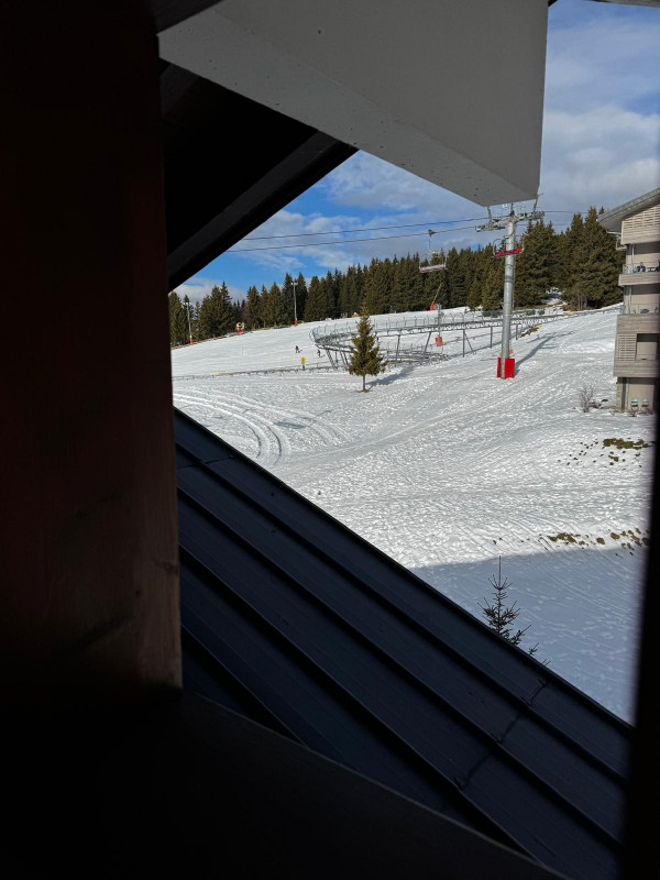 PHOTO-2025-12-29-19-54-29_1 PHOTO-2025-12-29-19-54-29_1