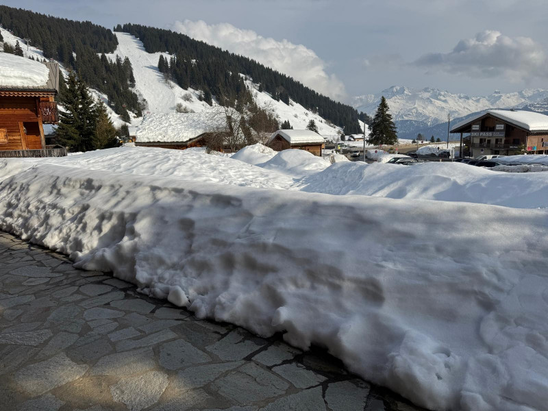 PHOTO-2026-03-12-15-40-128