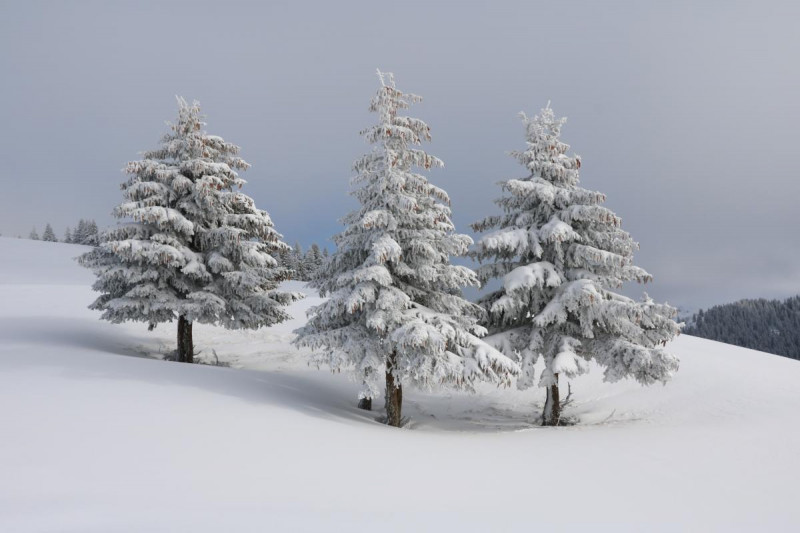 Hiver