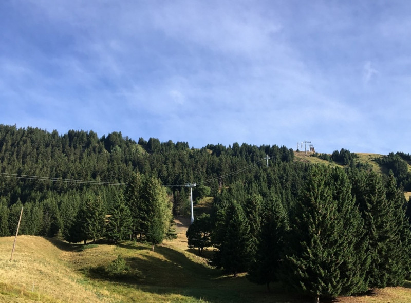 Vue