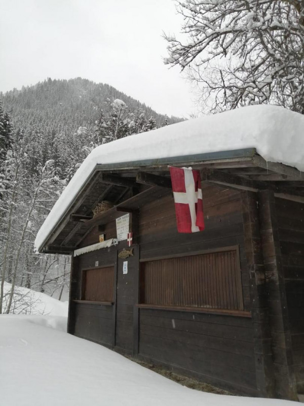 Paysage d'hiver