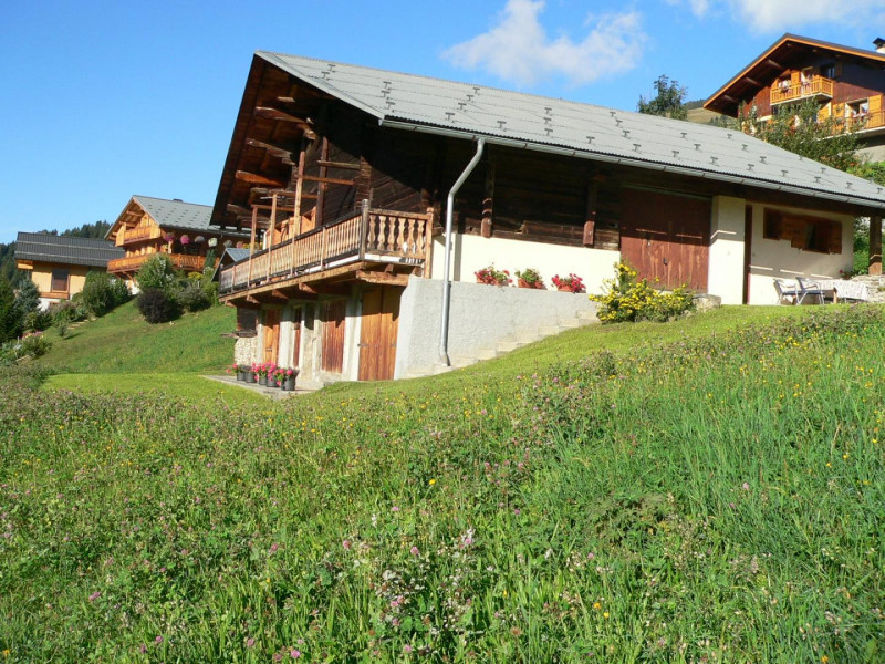 Chalet avec son espace jardin