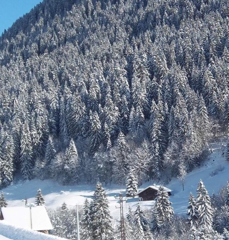 L'environnement du chalet l'hiver