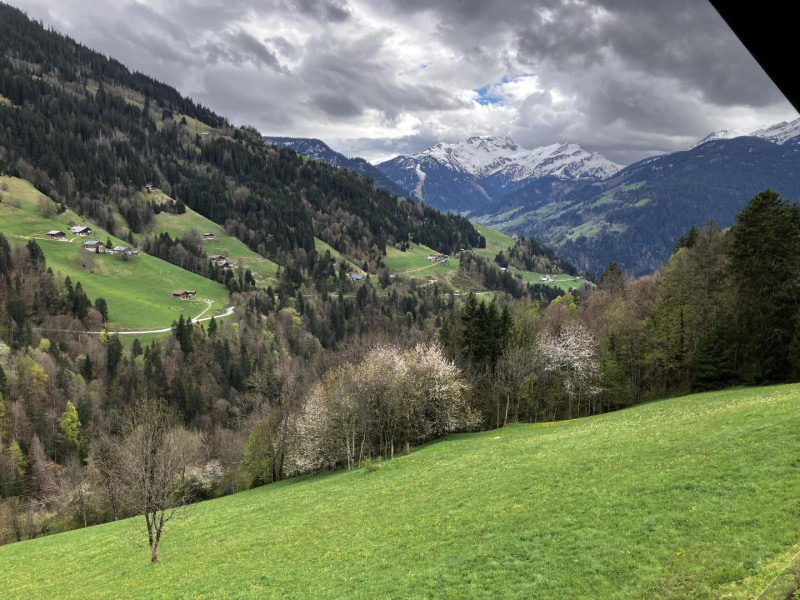 Vue du balcon
