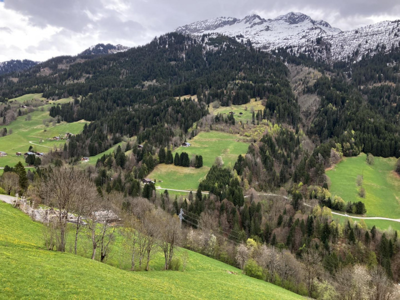 Vue du balcon
