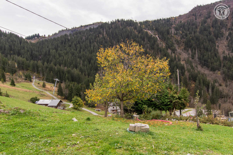 73G132335 - CHALET LA SORSA - HAUTELUCE