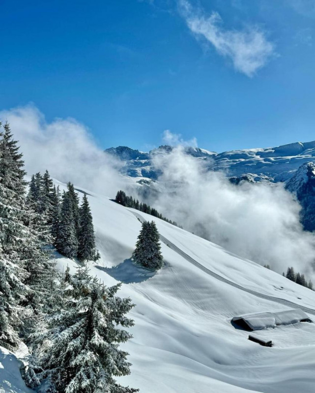 Skier aux Saisies