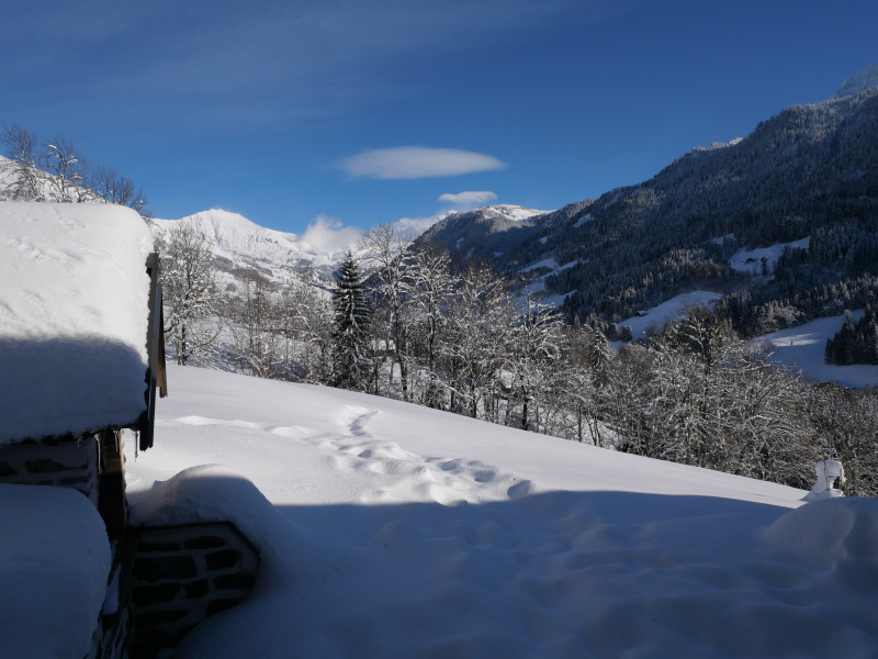 Chalet Mont Blanc -6 personnes_Les Saisies