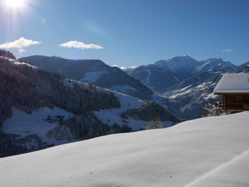 Chalet Grand Mont - 4 to 6 pers_Hauteluce