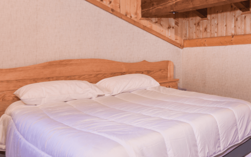 Room 434523-1003704 Room 434523-1003704