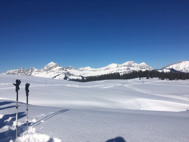 202011195fb61658c1342-21539880