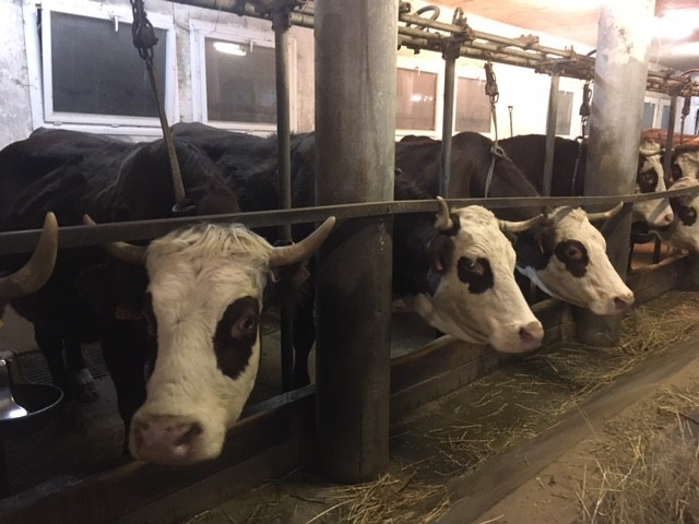 2021121561b98da347452-21539897