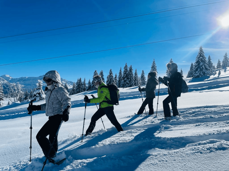 2022122363a5f3e17bf38-21539895