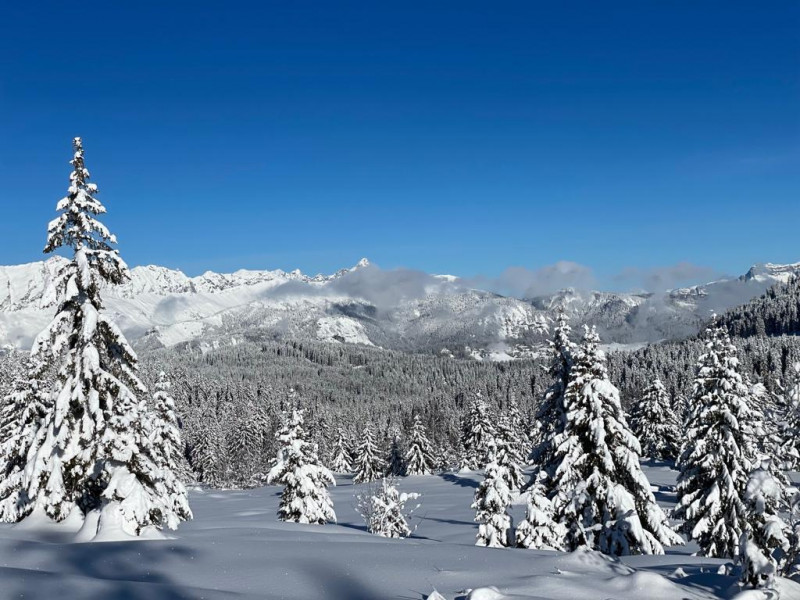 202312186580b3c5b79b0-21539882