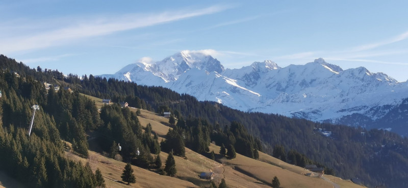 3 pièces 6 pers- Grand Panorama_Bisanne 1500