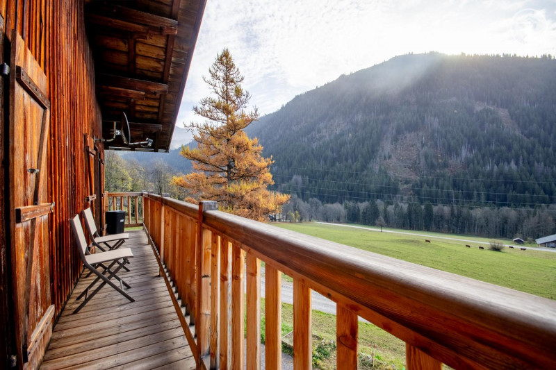 33153608.jpg.jpg 33153608.jpg.jpg