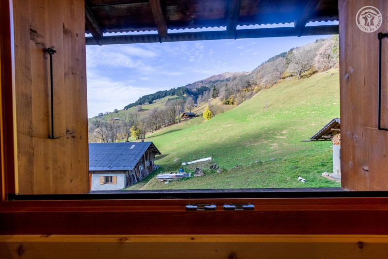 33153622.jpg.jpg 33153622.jpg.jpg