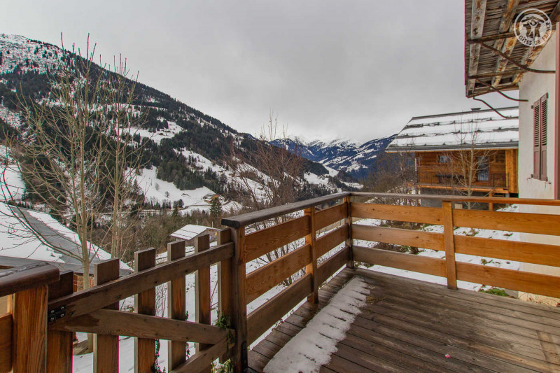 RESIDENCE MONT-BLANC LODGE - HAUTELUCE LES SAISIES - 73G132339