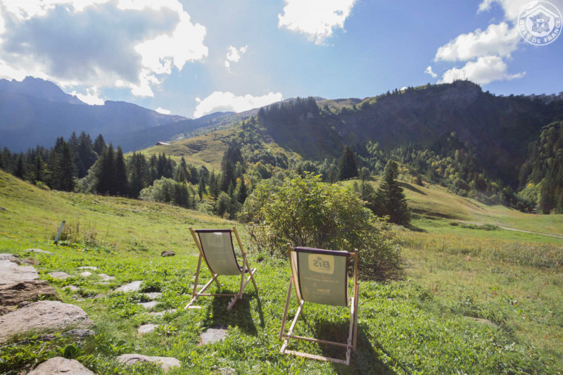 34184755.jpg.jpg 34184755.jpg.jpg