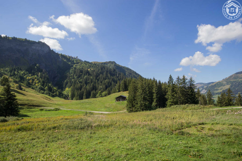 34090936.jpg.jpg 34090936.jpg.jpg