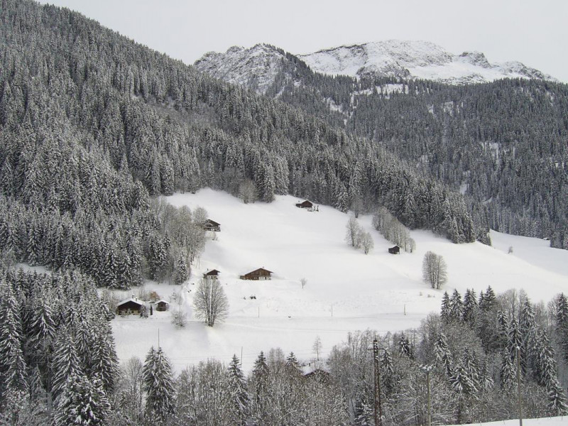 Vue depuis le balcon.