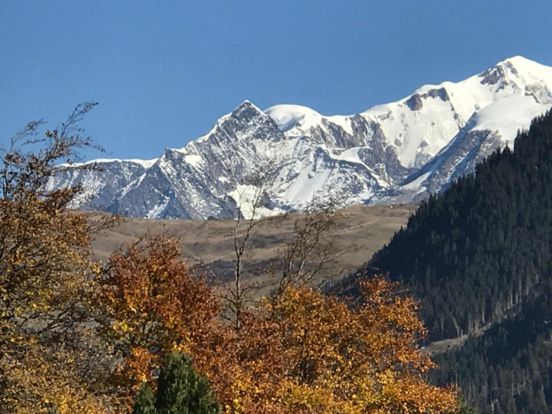 Vue sur le Mt Blanc depuis le balcon