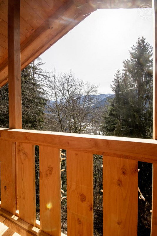 73G317130 - VILLARD-SUR-DORON-LES-SAISIES