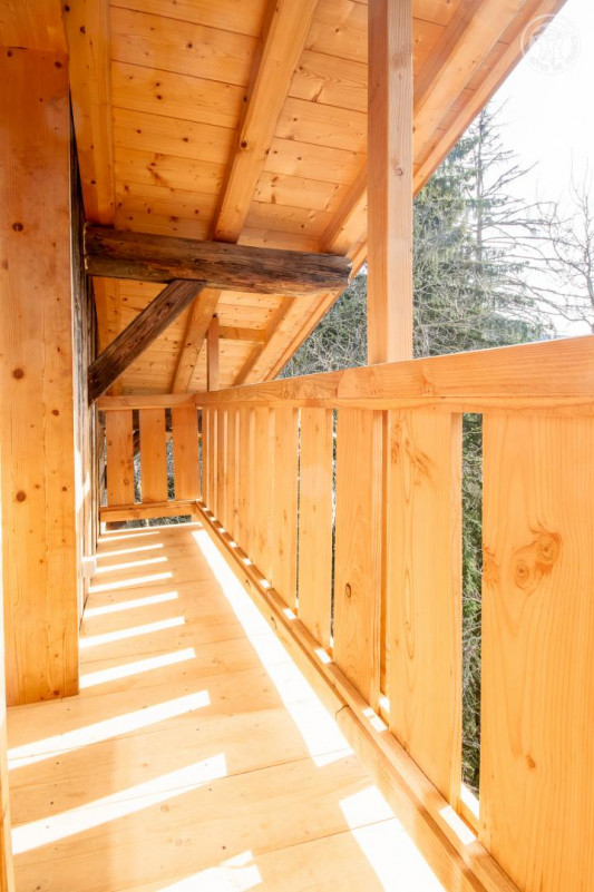 73G317130 - VILLARD-SUR-DORON-LES-SAISIES