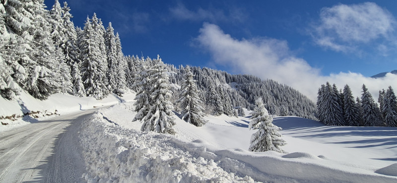 3 pièces 5 pers - Myrna C03 -Bisanne 1500_Bisanne 1500