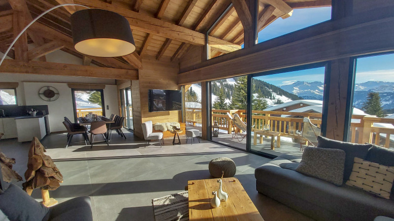 salon-avec-vus-chalet-ladakh