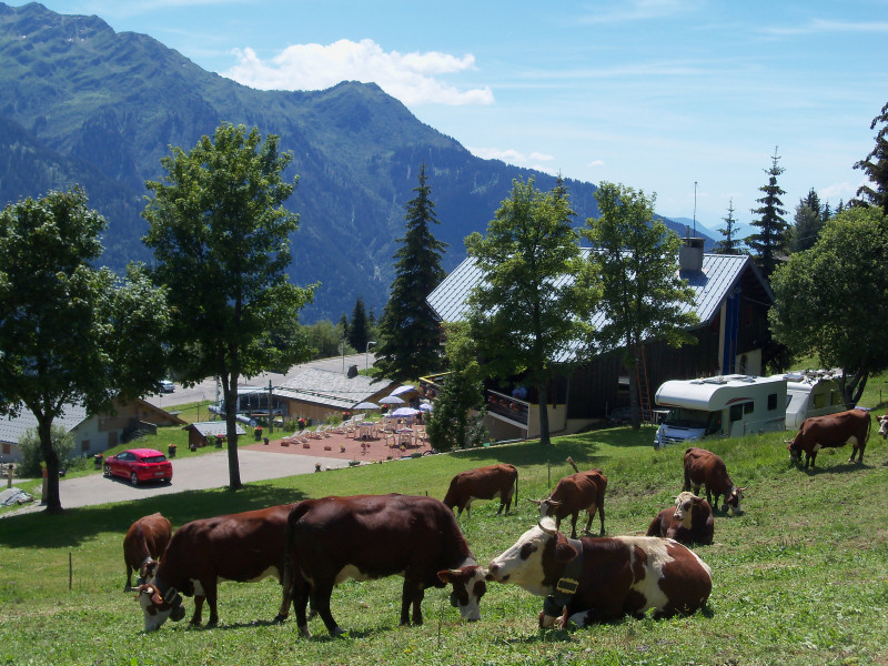 Studio cabine 4 personnes (Outray)_Bisanne 1500