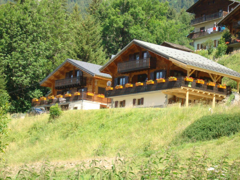 Vue d'ensemble des deux chalets