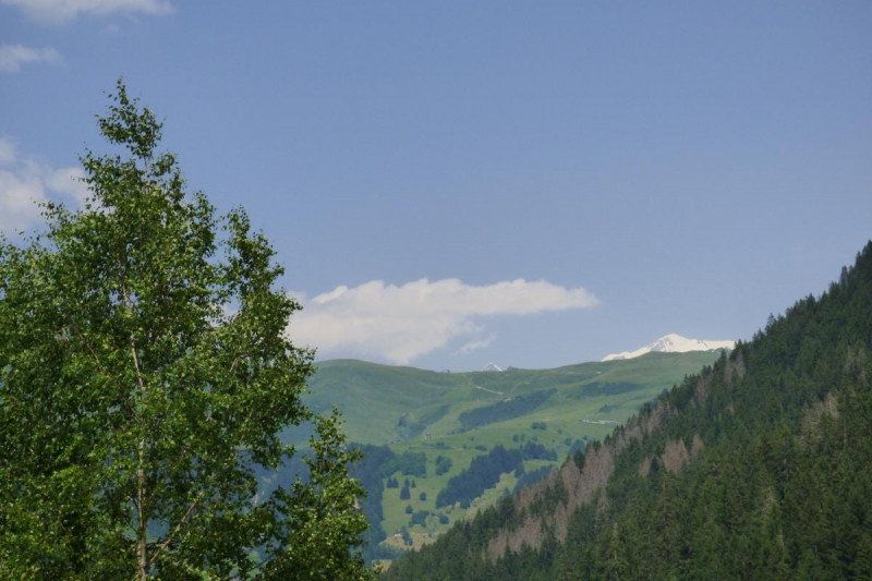 Vue du Mont Joly - © Gîtes de France Vue du Mont Joly