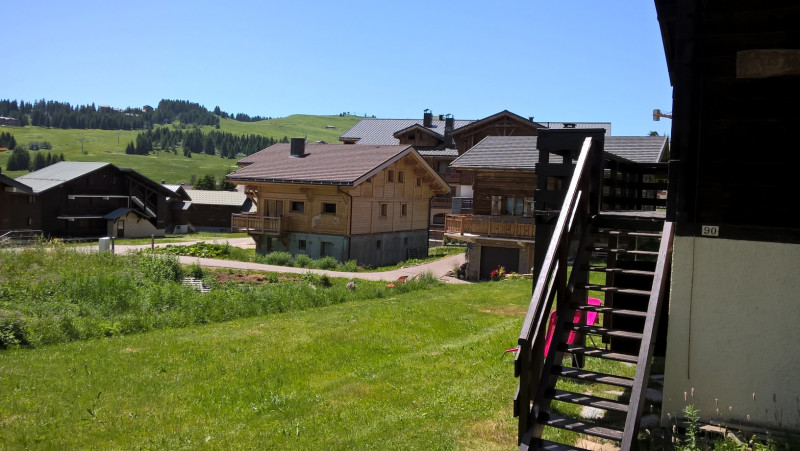 Vaste terrain plat autour du chalet