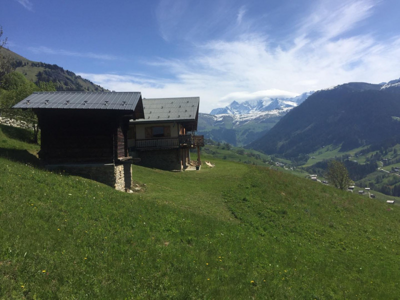 33332323.jpg.jpg 33332323.jpg.jpg