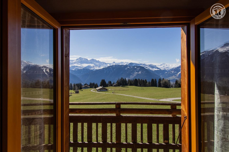 33153349.jpg.jpg 33153349.jpg.jpg