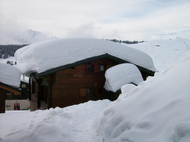 ENTREE SOUS LA NEIGE