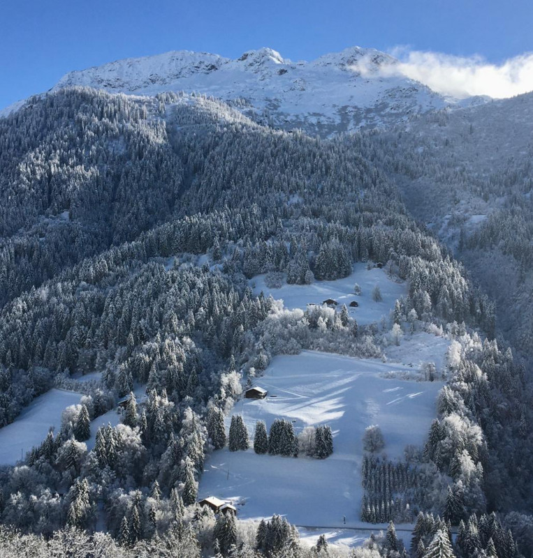 34357717.jpg.jpg 34357717.jpg.jpg