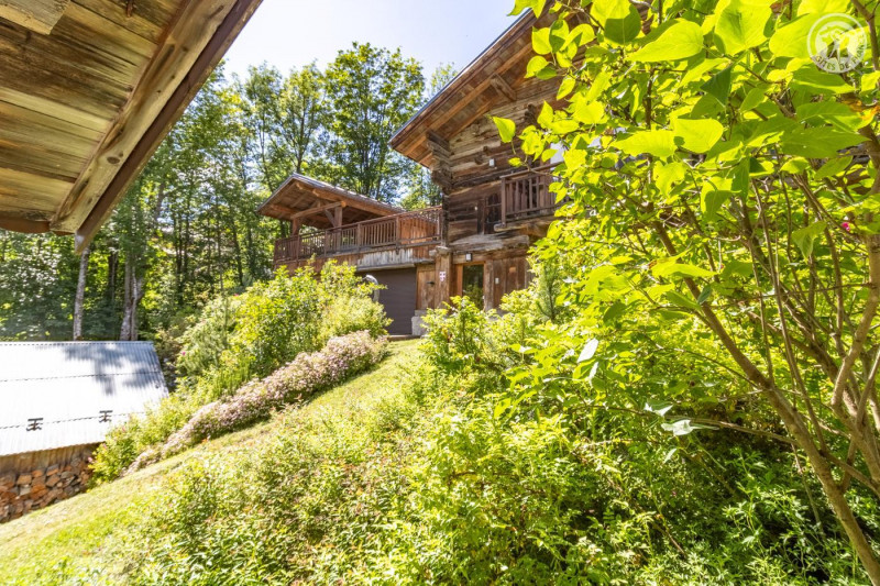 34601562.jpg.jpg 34601562.jpg.jpg