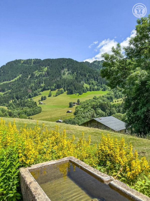 34601565.jpg.jpg 34601565.jpg.jpg