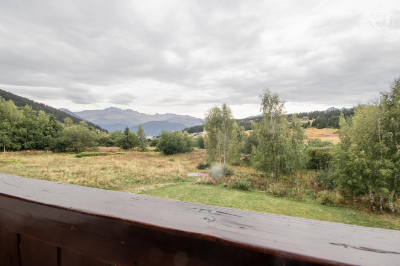 73G132327 - CRYSTAL 4 - HAUTELUCE