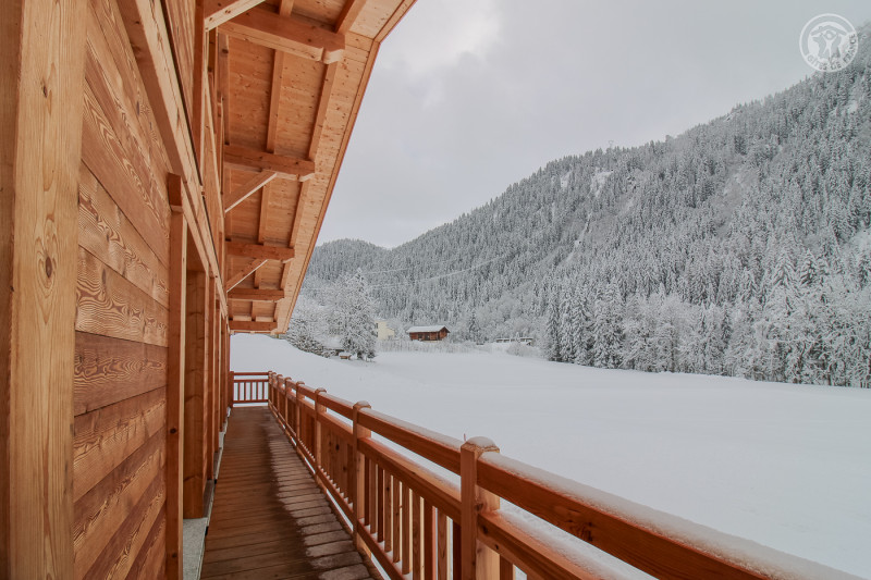 73G132341 - CHALET BELLEVILLE - HAUTELUCE