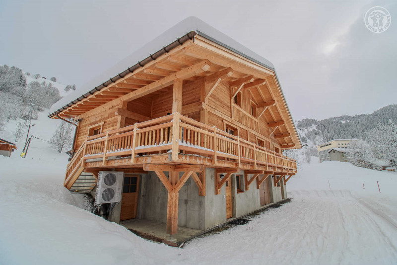 73G132341 - CHALET BELLEVILLE - HAUTELUCE