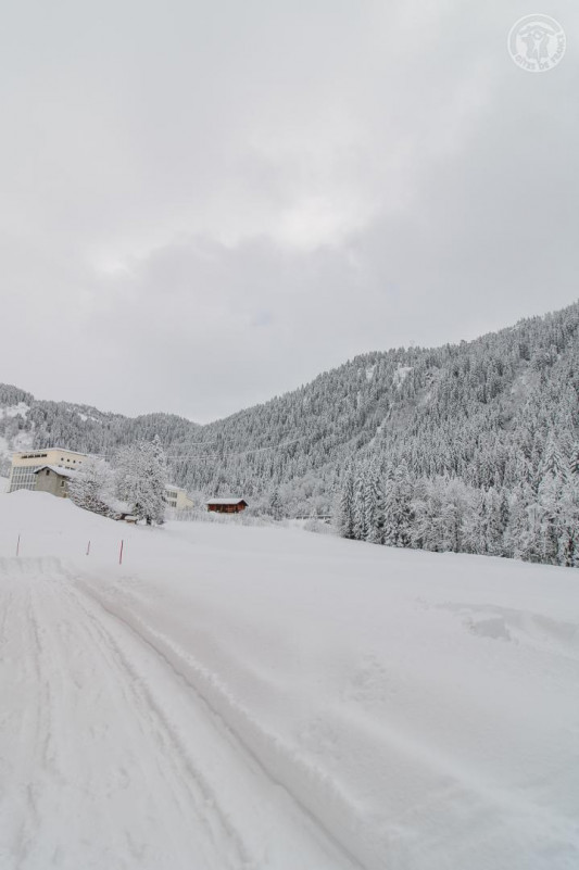 73G132341 - CHALET BELLEVILLE - HAUTELUCE