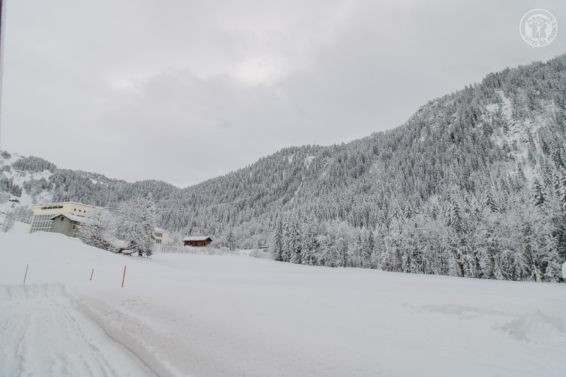 73G132341 - CHALET BELLEVILLE - HAUTELUCE