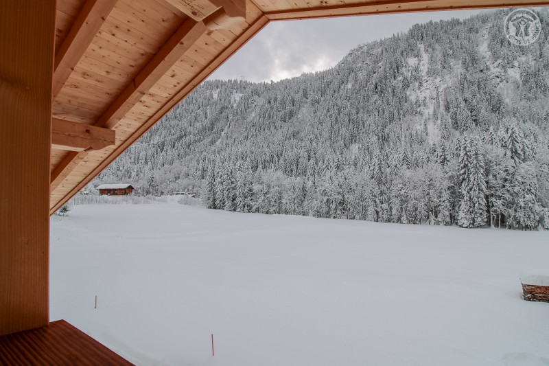 73G132341 - CHALET BELLEVILLE - HAUTELUCE