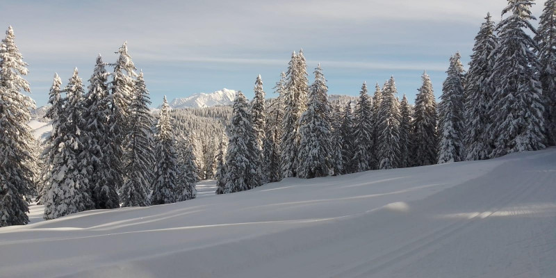 Vue du Mont-Blanc depuis les Saisies (ski de fond)