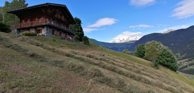 33397195.jpg.jpg 33397195.jpg.jpg