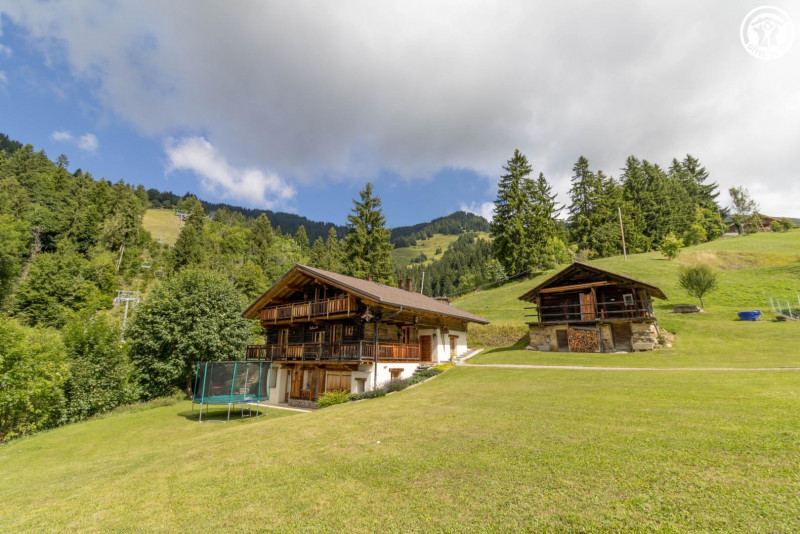 33398048.jpg.jpg 33398048.jpg.jpg