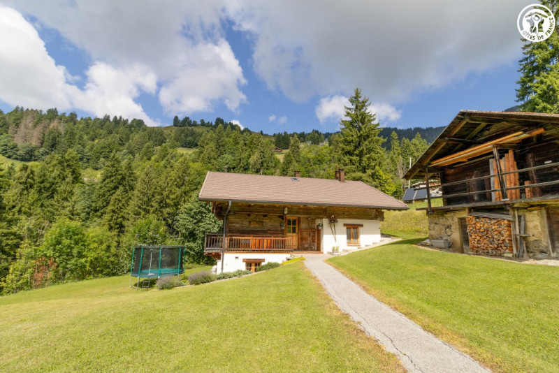 33398045.jpg.jpg 33398045.jpg.jpg